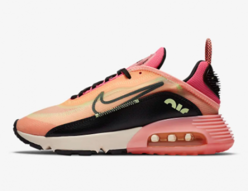 Scarpa Donna Nike Air Max 2090